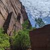 Sheer red rock walls, leafy greens trees, and blue skies above Upper Emerald Pool