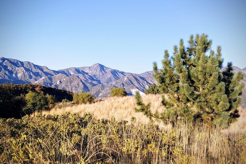 Field near the Tee Pee, looking E-SE towards Agua Canyon.