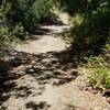 Trailhead near Grand Avenue