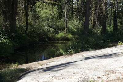 The trail runs next to Crescent Creek for a short distance. You may encounter animals (deer, black bears, etc) drinking from the creek during the morning or later in the evening.