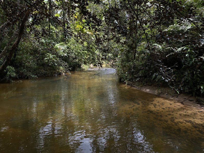 Rio Sabana