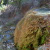 The lowest travertine pool.