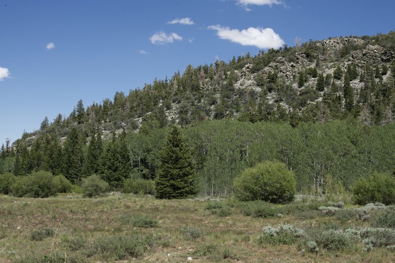 When you reach the end of the trail, there is a wonderful view of a meadow.