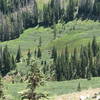 View of Moose Down in the American Lakes Valley after meeting up w/ the American Lakes Trail.