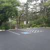 Parking area at the trailhead, paved with handicap spots.