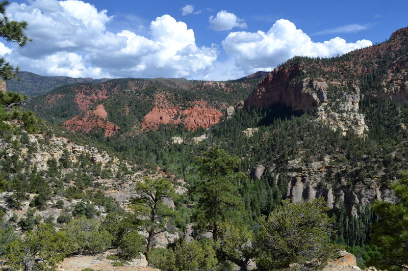 Overlooking the painted canyon.