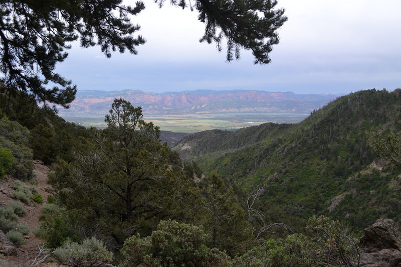 Grand views of Kolob Canyons.