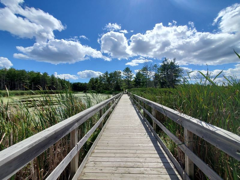 Boardwalk looking south