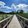 Boardwalk looking south