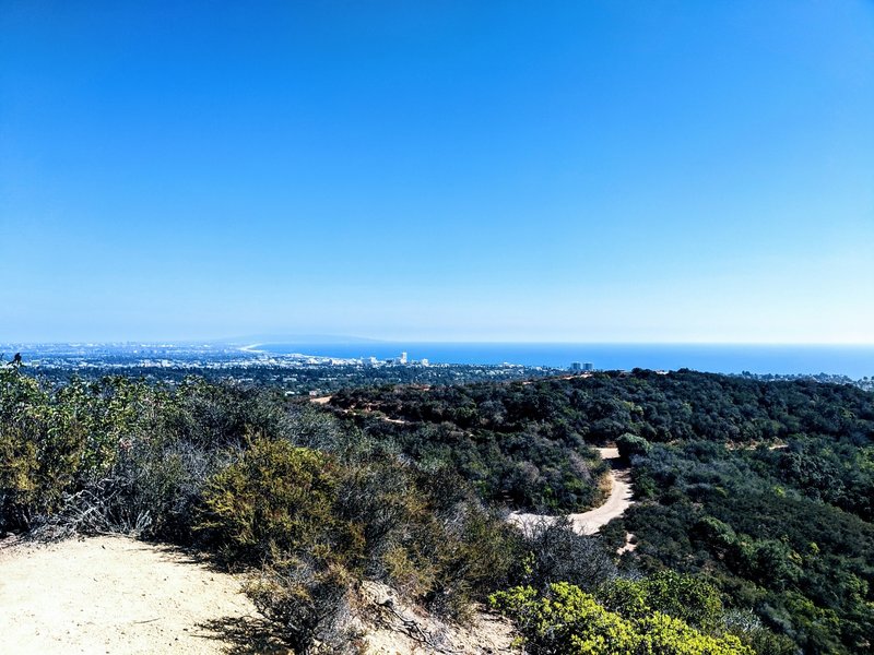 Great view of the Pacific and Santa Monica.