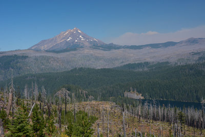 Mount Jefferson, Marion Lake, and smoke from the 2020 Lionshead fire all visible through an older burn area on Pine Ridge Trail.