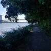 Shore trail at the river's edge. Overhanging shade creates a cool cavernous feel.