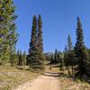 Looking at Rabbit Ears Peak.