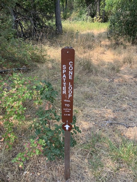 Sign at Spatter Cone Loop Trailhead