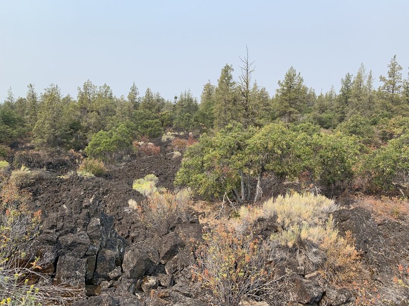 Lava field