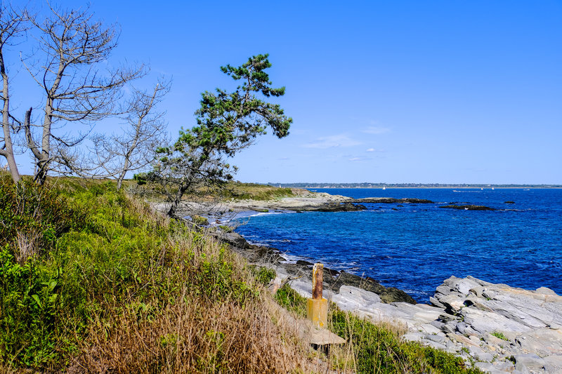 The Ocean Loop Trail