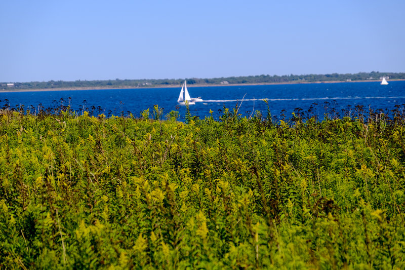 The Ocean Loop Trail