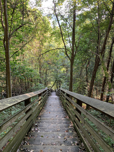 Long stairs