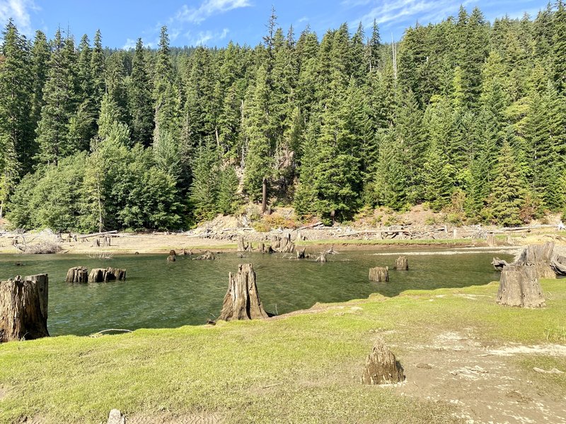 Little Kachess Trail peaking through the trees at the end of the lake.