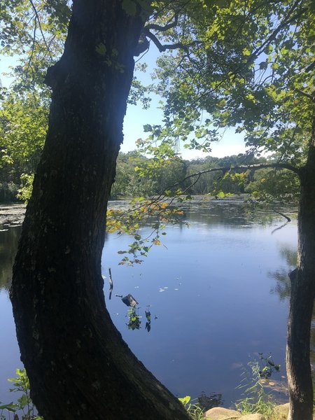 Blue Trail at Fisherville Brook Wildlife Refuge.