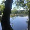 Blue Trail at Fisherville Brook Wildlife Refuge.