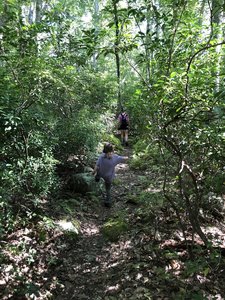 Red Trail at Fisherville Brook Wildlife Refuge.