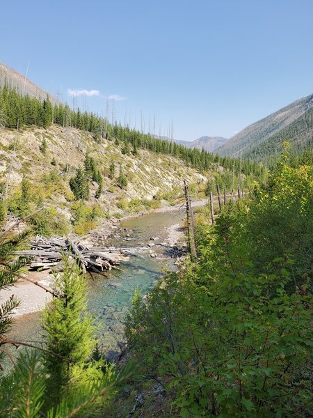 One of many "log jams" along the North Fork River.