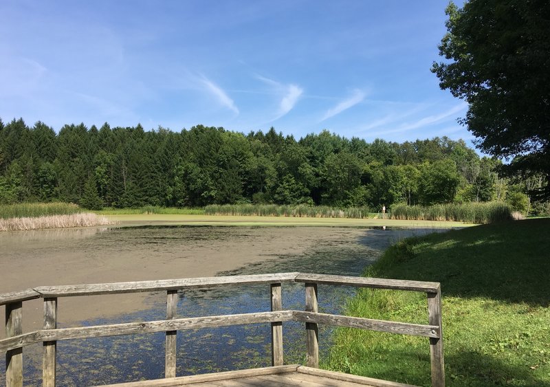 Horseshoe Pond - an easy paved walk