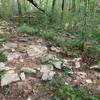 This is on an incline somewhere between mile five and six of the Buffalo Creek-Collie Ridge loop. This trail is either some variation of rocky (pictured), muddy, or sandy.