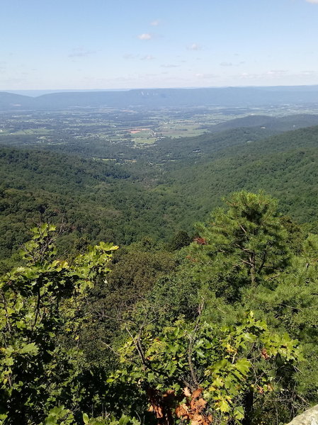 View of valley containing Redgate Fire Road (from AT overlook).