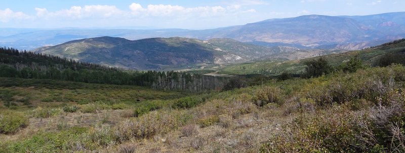 View of the valley below near junction with Thomas Lake Trail.