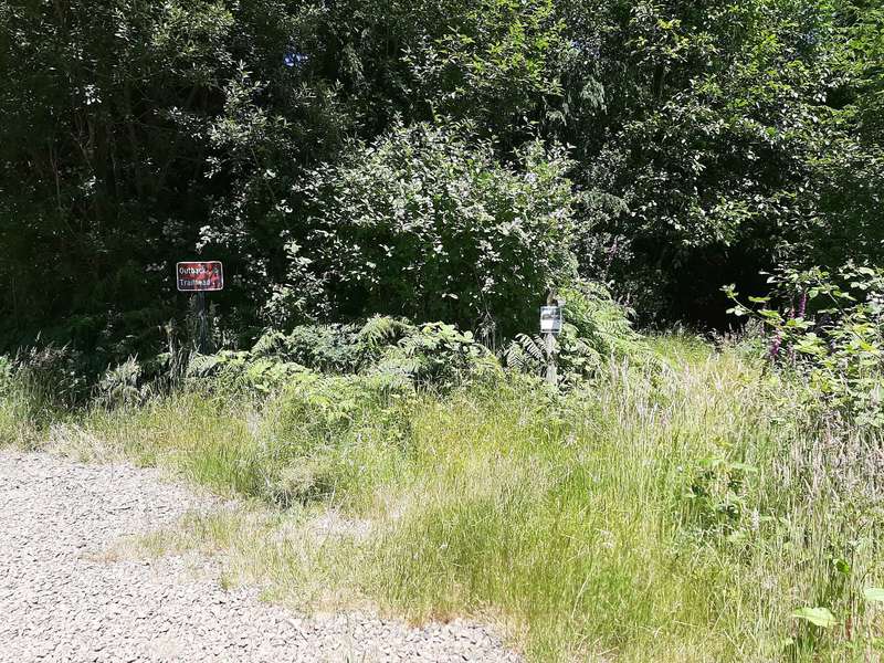 Parking area on the Outback Trail.