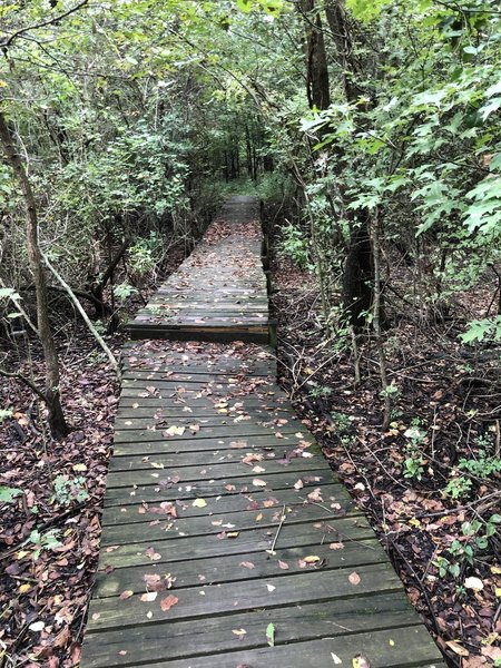 Boardwalk over low area at the beginning of the Sierra Club Trail.