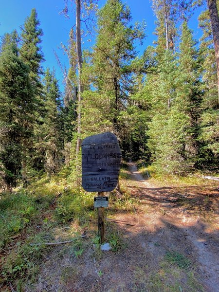 Boundary of the wilderness area.