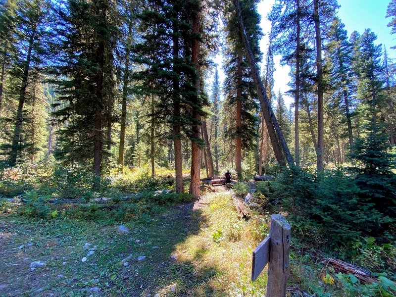 Intersection with North Fork of the Hellroaring Creek.