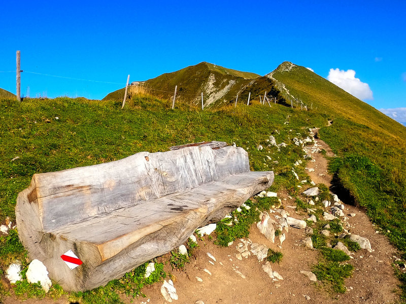 Bench at Morgetepass