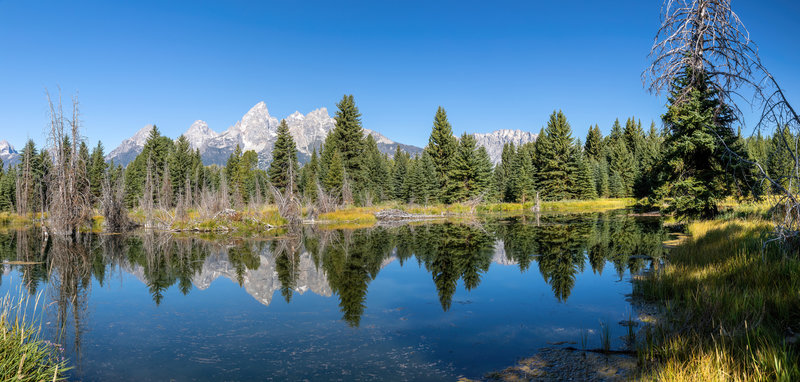 Beaver Pond near Schwabachers Landing.