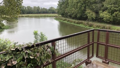 The view of Lake Sherry from the observation tower on Blackbird Marsh Trail.