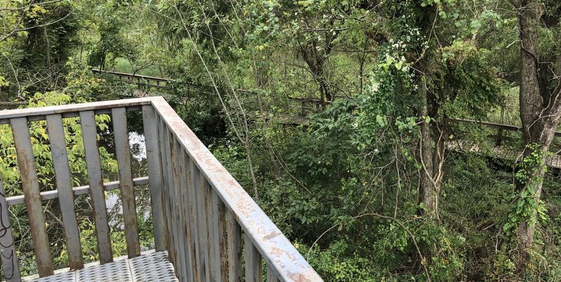 View of the Blackbird Marsh Boardwalk from the observation tower.