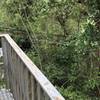 View of the Blackbird Marsh Boardwalk from the observation tower.