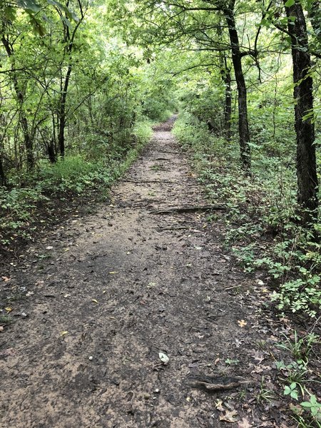 The Oxbow Lake Trail on top of the dike can be a bit muddy after rains.