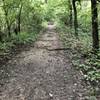 The Oxbow Lake Trail on top of the dike can be a bit muddy after rains.