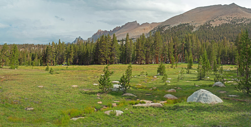 Meadow beneath Mt. Kaweah and junction between the Moraine Lake and High Sierra trails.