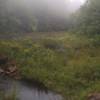 The stream bed widens out just before the trail heads up the side of the valley. A misty fall day.