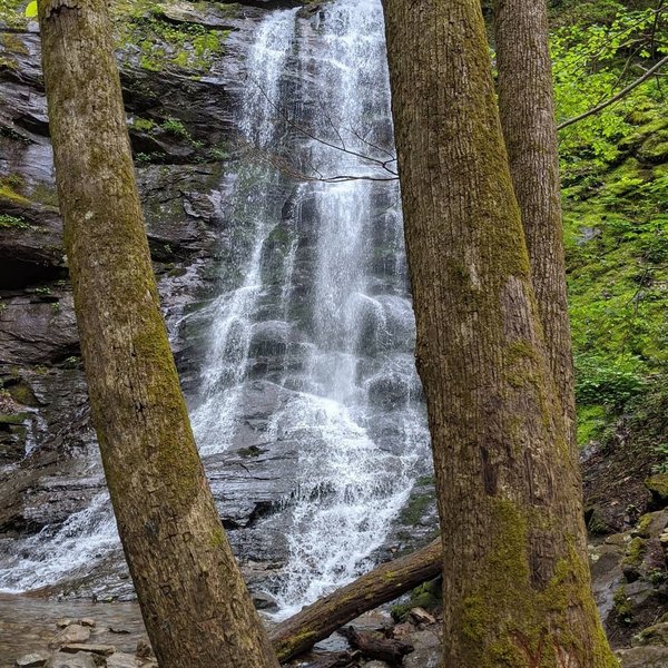 Sill Branch Falls