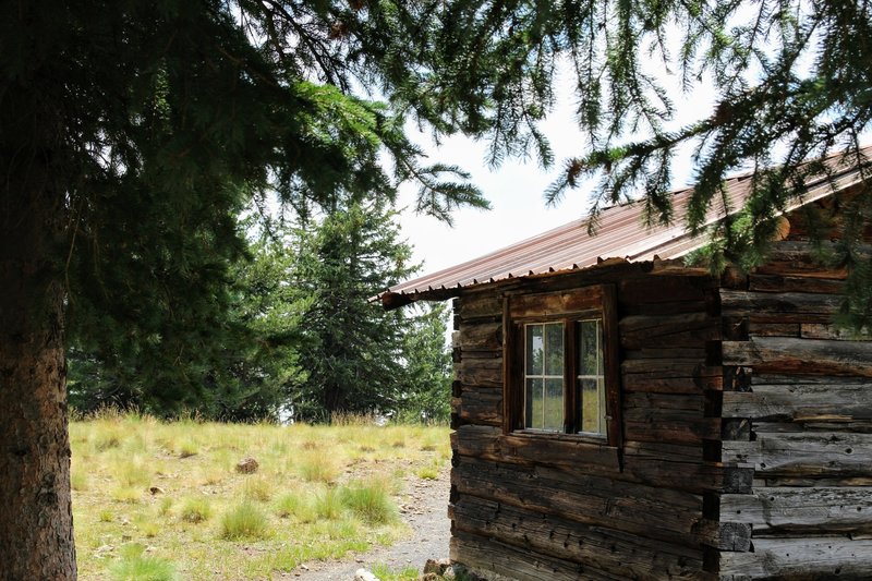 The cabin