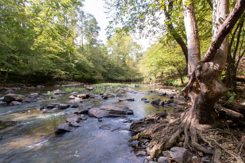 Eno River from the end of Bobbit Hole spur trail.