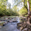 Eno River from the end of Bobbit Hole spur trail.