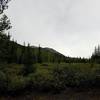 View of Kenosha Mountains from Segment 5 of CT