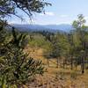 Views of Kenosha Mountains